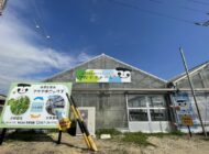 【プレスリリース】アクポニ、日本最大級の生産株数を誇る愛知県愛西市のアクアポニックス農園「つなぐファーム」の設計・資材調達・施工監修を担当