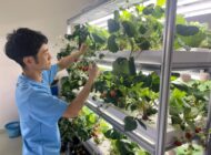 【プレスリリース】第13回農業WEEK「農業 脱炭素 SDGs EXPO」に出展／イチゴの周年栽培アクアポニックスシステムを展示