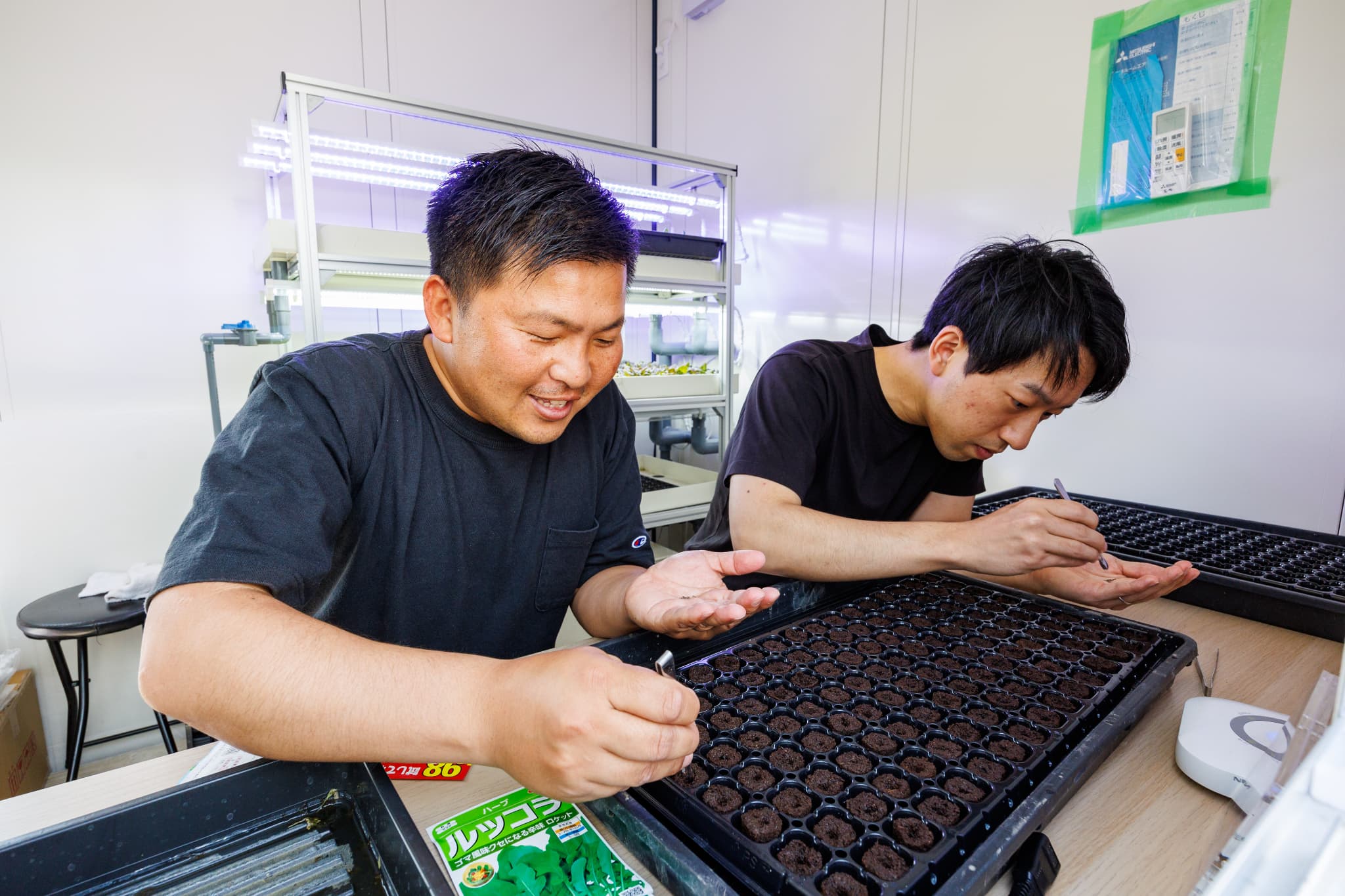 アクアポニックスでの種まきと育苗】成功のためのヒント