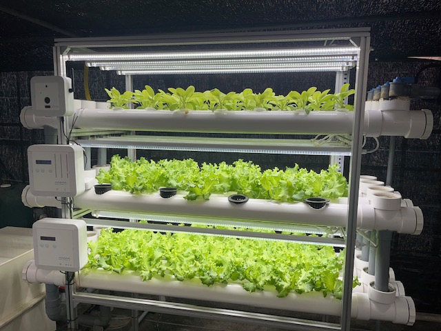 LEDライト付き アクアポニックス水槽　アクアリウムにも最適！ LEDライト付き アクアポニックス水槽 アクアリウムにも最適！ アクアポ