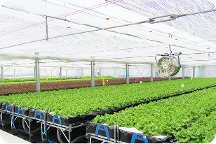 アクポニプラン1