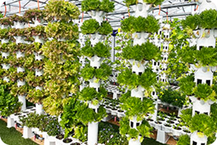 スモールプラン1