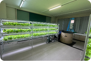 スモールプラン5