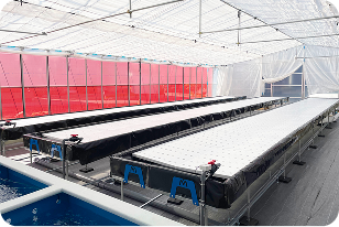 スモールプラン6