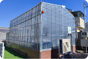 スモールプラン8