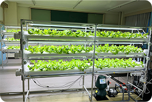 オーダーメイドプラン2