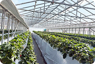 オーダーメイドプラン4