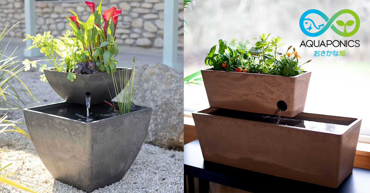 【未使用】アクアポニックス 水耕栽培 キット アクアスプラウト SV さかな畑 マットブラック