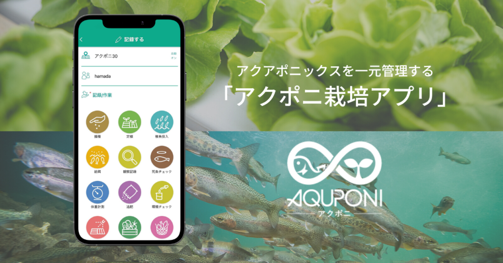 汽水アクアポニックスを使ったバナメイエビの養殖試験を開始 - 株式 